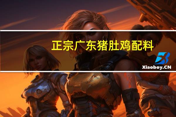 正宗广东猪肚鸡配料