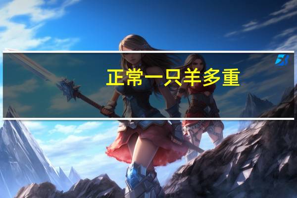 正常一只羊多重