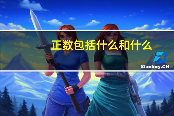 正数包括什么和什么