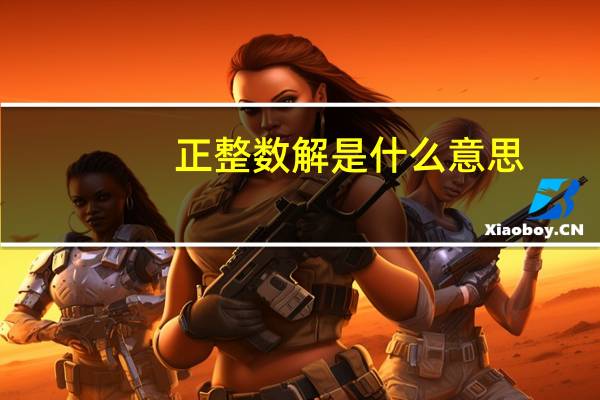 正整数解是什么意思