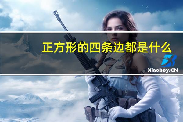 正方形的四条边都是什么
