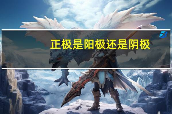 正极是阳极还是阴极