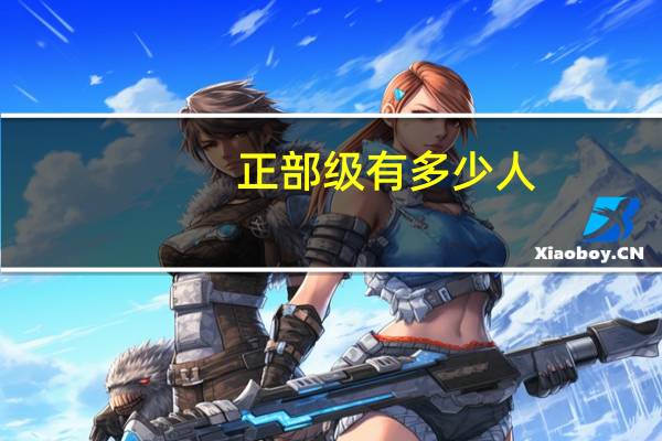 正部级有多少人