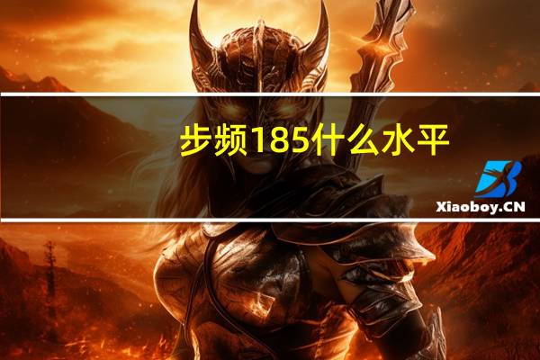步频185什么水平