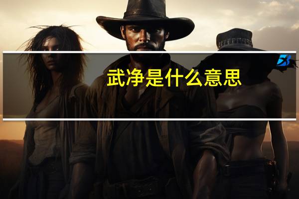 武净是什么意思