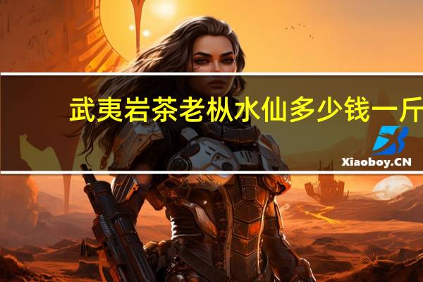 武夷岩茶老枞水仙多少钱一斤