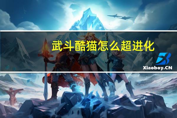 武斗酷猫怎么超进化