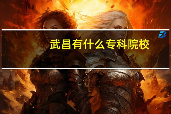 武昌有什么专科院校
