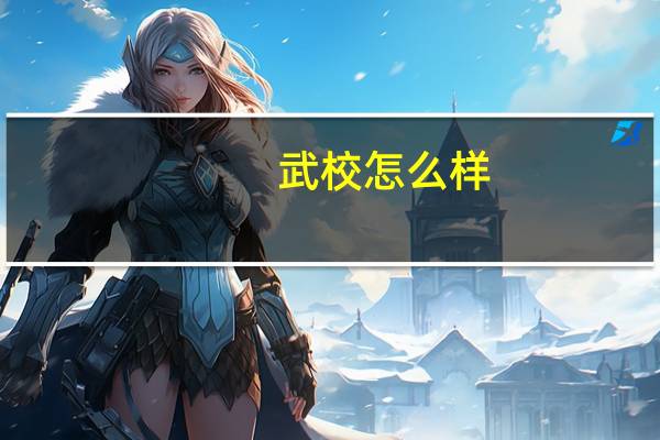 武校怎么样