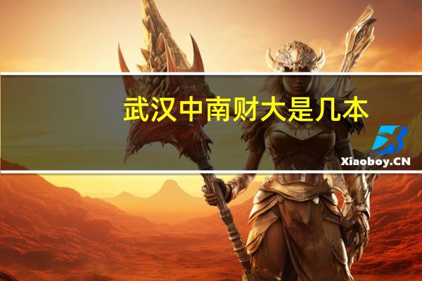 武汉中南财大是几本