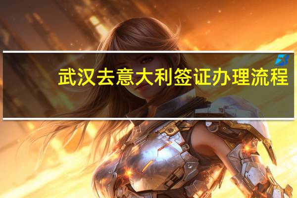 武汉去意大利签证办理流程(意大利签证预约服务)