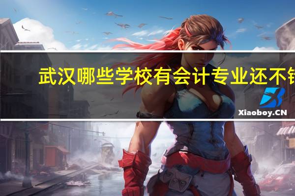 武汉哪些学校有会计专业还不错