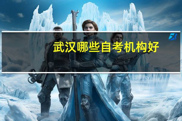 武汉哪些自考机构好