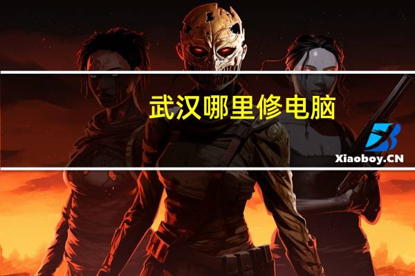 武汉哪里修电脑
