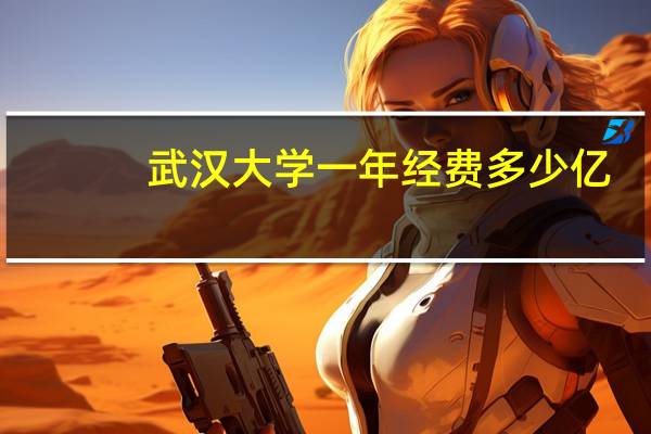 武汉大学一年经费多少亿