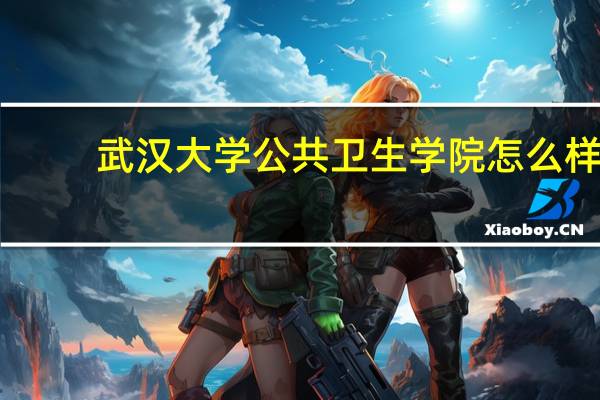 武汉大学公共卫生学院怎么样