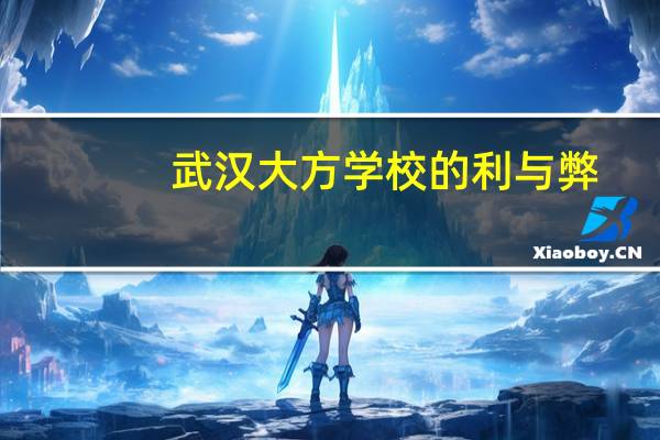 武汉大方学校的利与弊