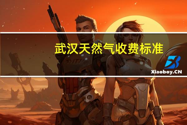 武汉天然气收费标准
