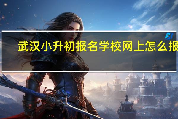 武汉小升初报名学校网上怎么报名