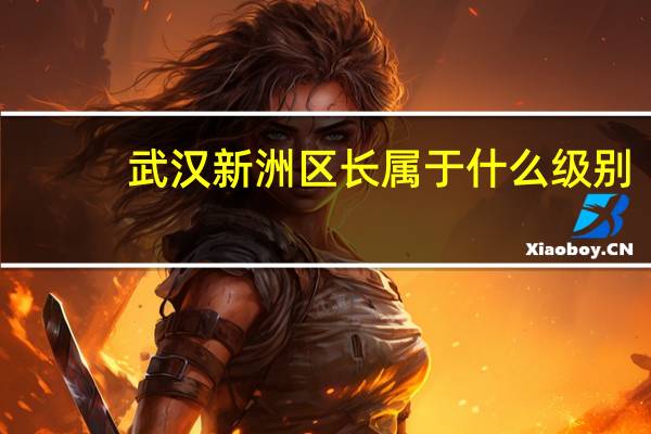武汉新洲区长属于什么级别