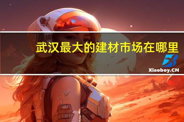 武汉最大的建材市场在哪里