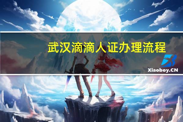 武汉滴滴人证办理流程