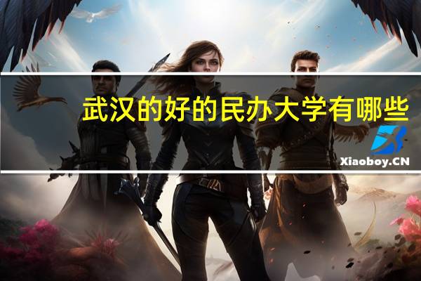 武汉的好的民办大学有哪些