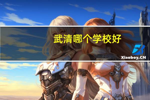 武清哪个学校好