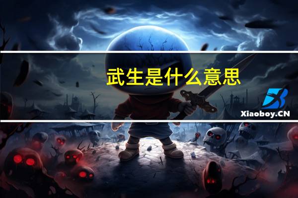 武生是什么意思