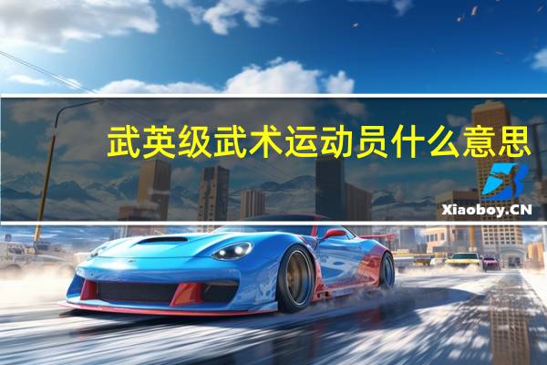 武英级武术运动员什么意思