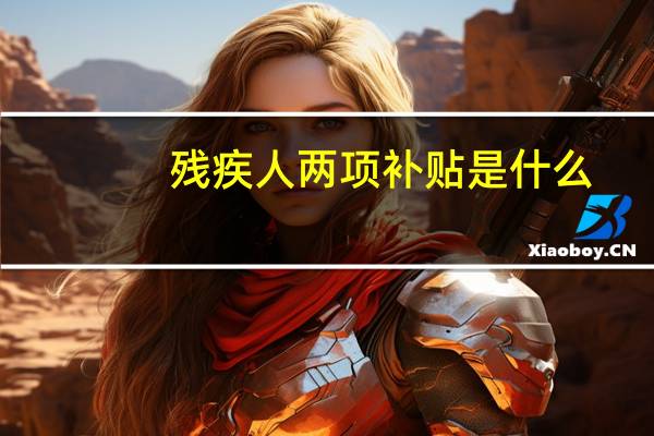 残疾人两项补贴是什么