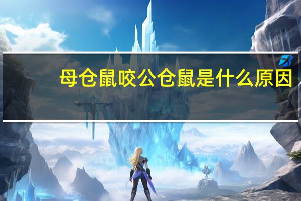 母仓鼠咬公仓鼠是什么原因