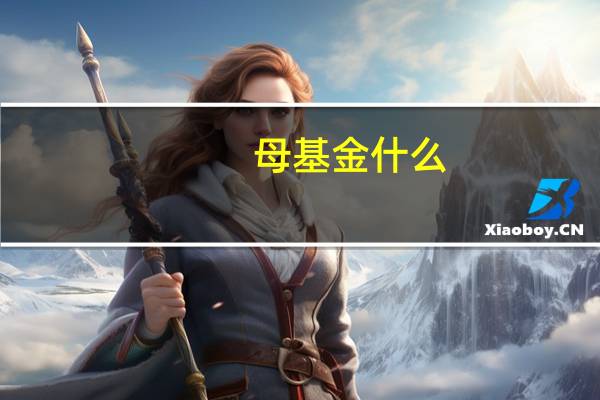 母基金什么