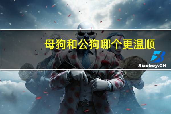 母狗和公狗哪个更温顺