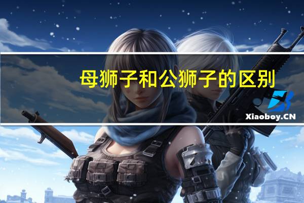 母狮子和公狮子的区别