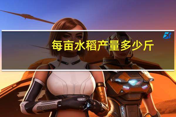 每亩水稻产量多少斤