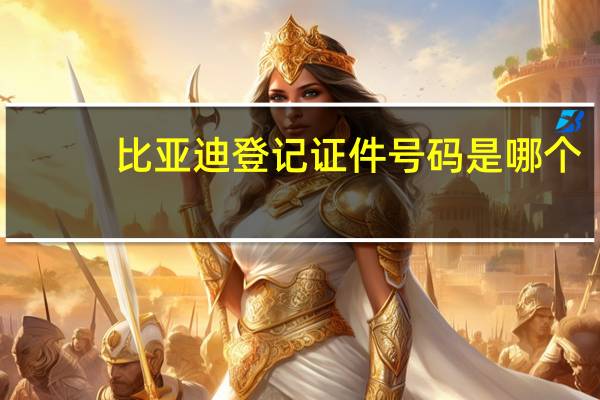 比亚迪登记证件号码是哪个