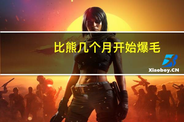 比熊几个月开始爆毛