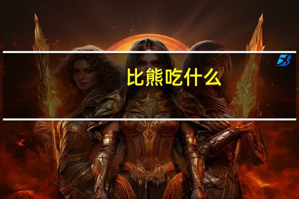 比熊吃什么