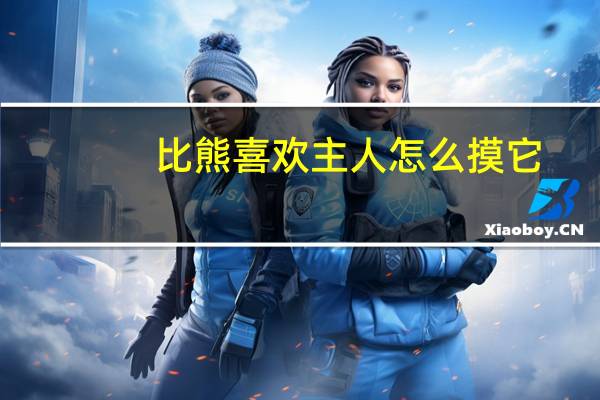 比熊喜欢主人怎么摸它