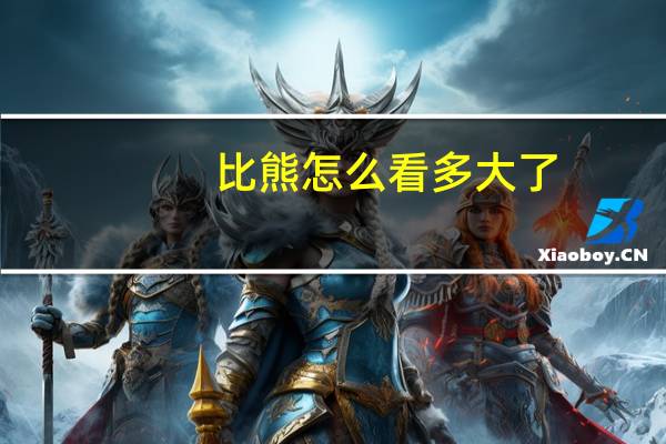 比熊怎么看多大了