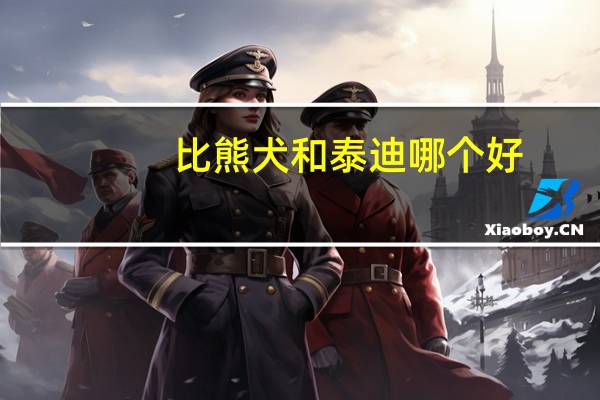 比熊犬和泰迪哪个好