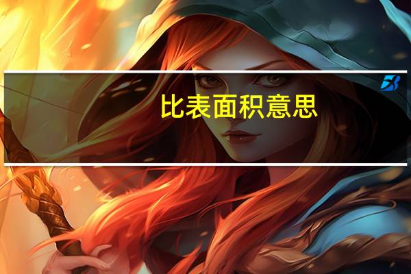 比表面积意思