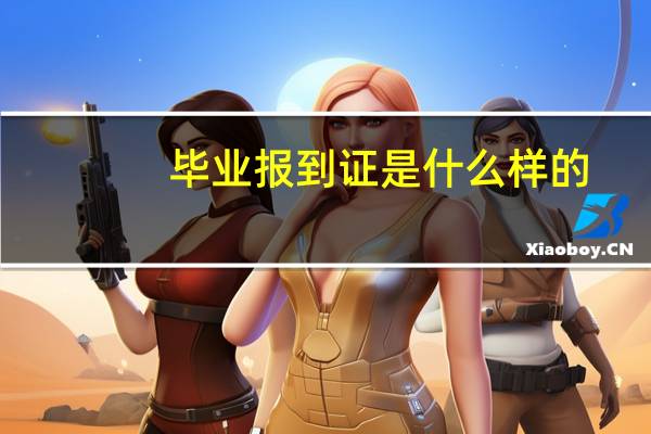毕业报到证是什么样的