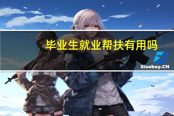 毕业生就业帮扶有用吗