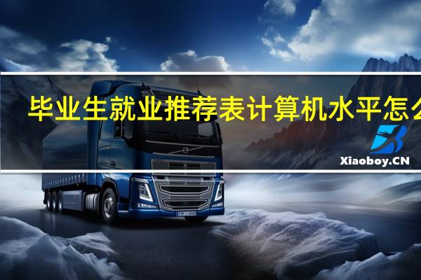 毕业生就业推荐表计算机水平怎么写