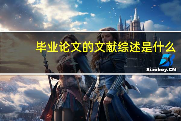 毕业论文的文献综述是什么