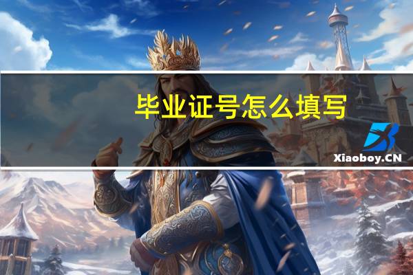 毕业证号怎么填写
