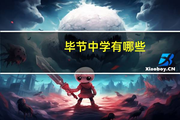毕节中学有哪些