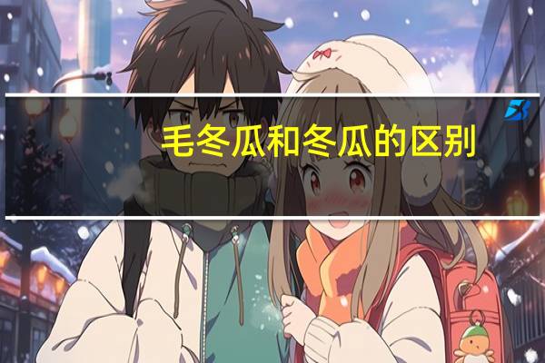 毛冬瓜和冬瓜的区别